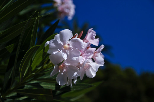 755404 (a): :2048x1365